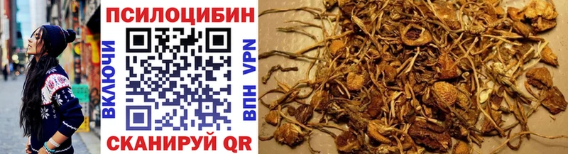 Псилоцибиновые грибы Cubensis блэк спрут Краснокамск